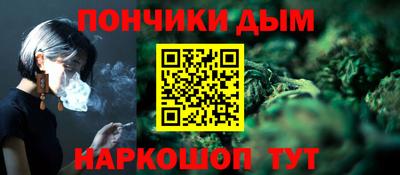 индика Бийск