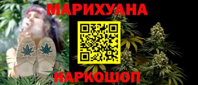 индика Бийск