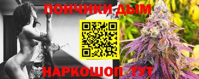 индика Бийск