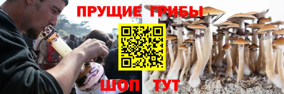 Галлюциногенные грибы GOLDEN TEACHER Камышлов