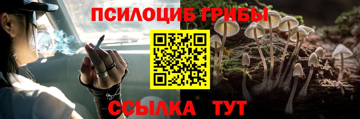 Галлюциногенные грибы Magic Shrooms  Галлюциногенные грибы мухоморы  Камышлов  Вход с VPN 